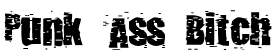 Punk Ass Bitch Sample Text
