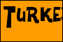 Turkey Sandwich Sample Text